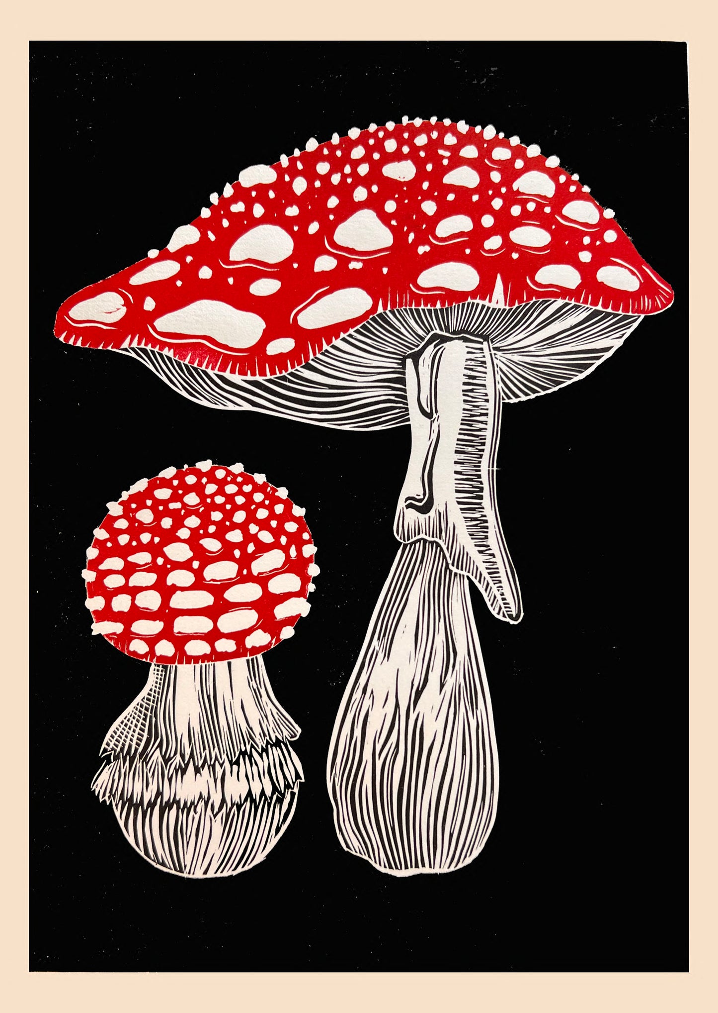 Amanita Muscaria