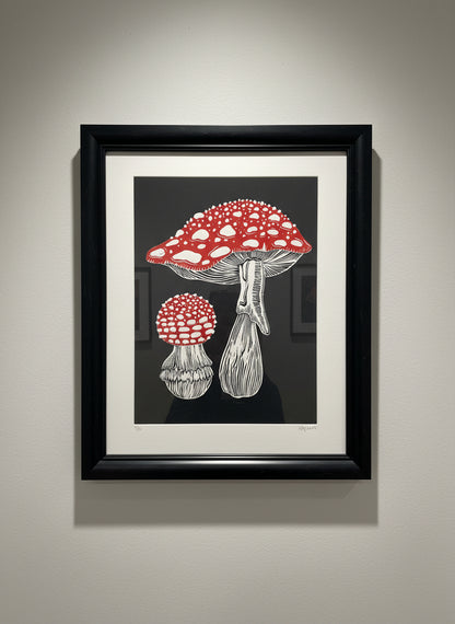 Amanita Muscaria