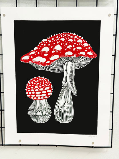 Amanita Muscaria