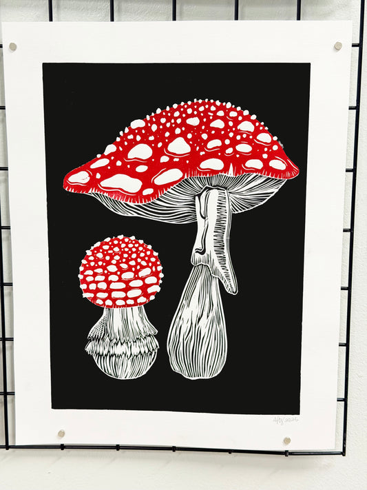 Amanita Muscaria